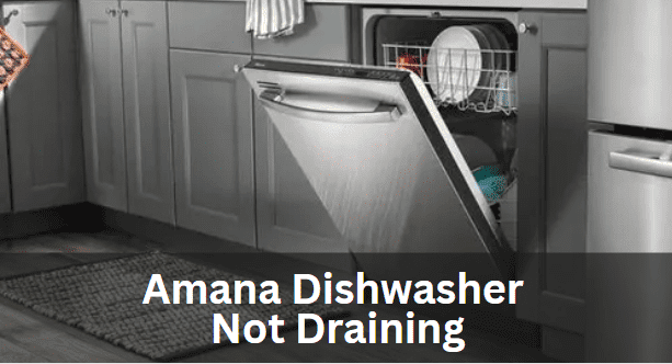 Amana Dishwasher Not Draining? Here's What to Do amana dishwasher not draining