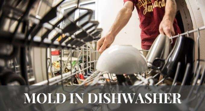 Mold In Dishwasher