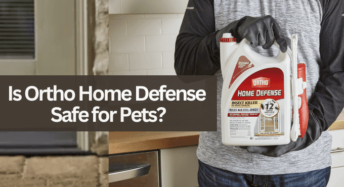 Is Ortho Home Defense Safe for Pets
