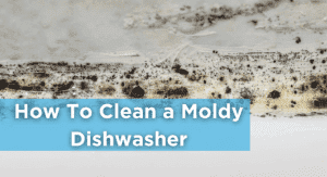 How To Clean a Moldy Dishwasher